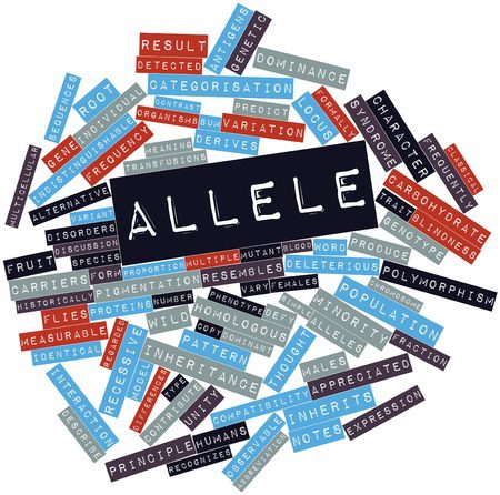 Allele - It's in Your Genes - The Way We Look and Behave - 