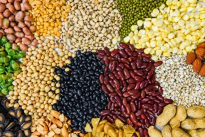 Phytate in Grains and Beans