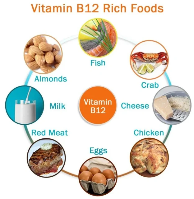 Foods Containing Vitamin B12 - Including Vegetarian Foods